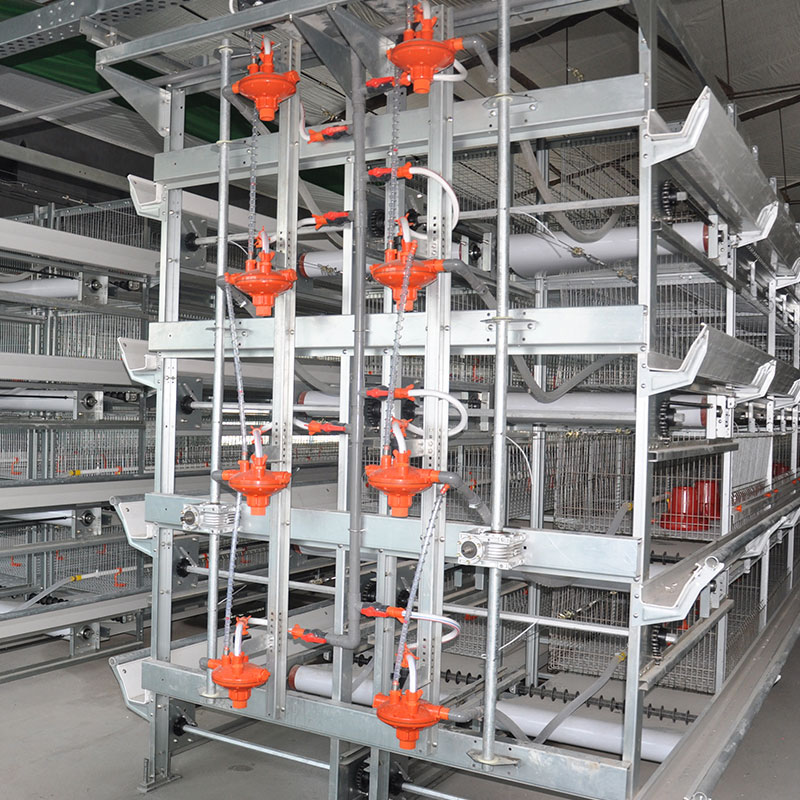 Broiler Chicken Cage System