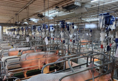 Smart Feeding System Installation Photos