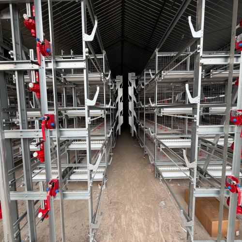 Automated Poultry Farming Solution