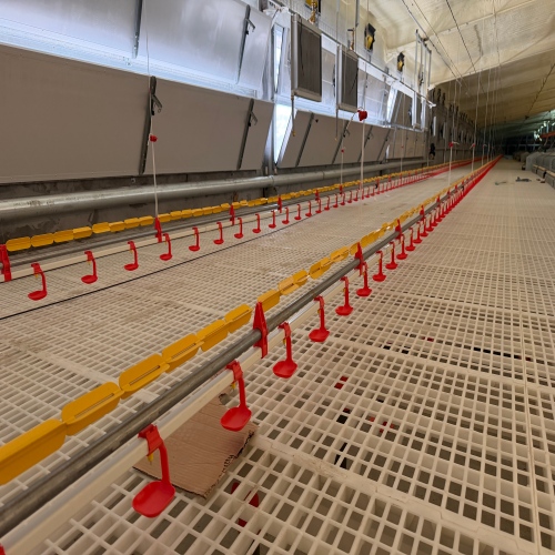 FSD Floor Rearing System