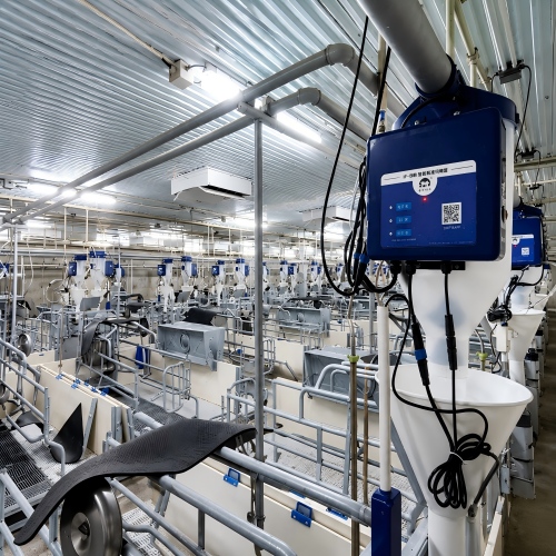 Smart Sow Feeding System for Modern Pig Farms